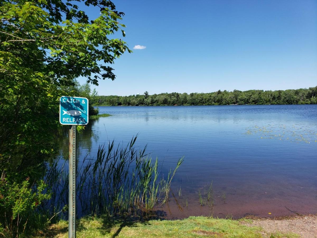 Simply Stunning 4bd House Among Lakes With Gameroom & Sauna Apartment *